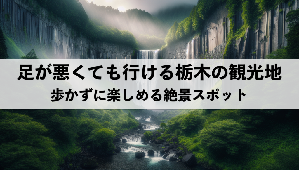 足が悪くても行ける栃木のおすすめ観光地